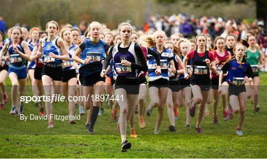 Irish Life Health All-Ireland Schools Cross Country Championships