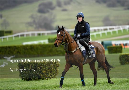 Cheltenham Racing Festival - Previews Cheltenham Racing Festival - Previews