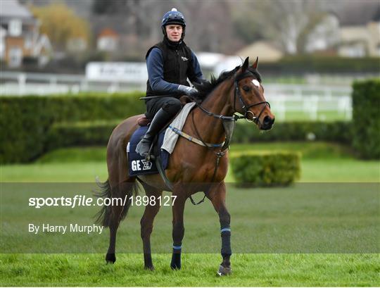 Cheltenham Racing Festival - Previews Cheltenham Racing Festival - Previews