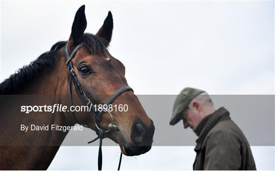 Cheltenham Racing Festival - Previews Cheltenham Racing Festival - Previews
