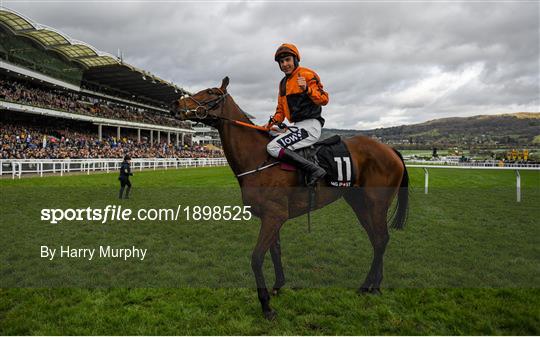 Cheltenham Racing Festival - Champion Hurdle Day Cheltenham Racing Festival - Champion Hurdle Day