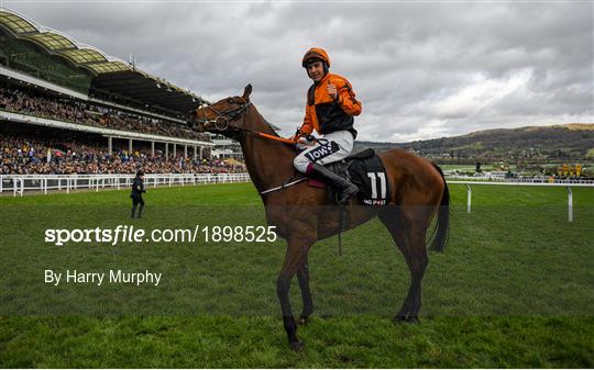 Cheltenham Racing Festival - Champion Hurdle Day