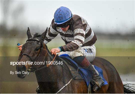 Horse Racing from Limerick