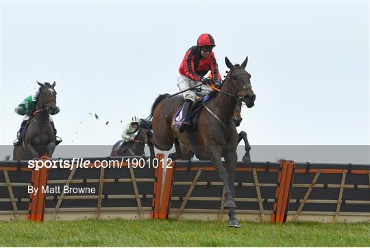 Horse Racing from Wexford