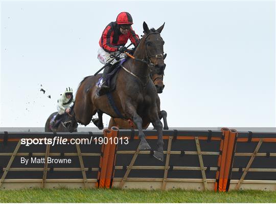 Horse Racing from Wexford