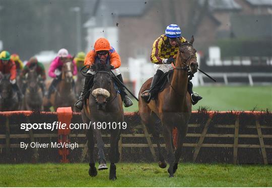 Horse Racing from Down Royal Horse Racing from Down Royal