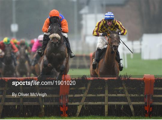 Horse Racing from Down Royal Horse Racing from Down Royal