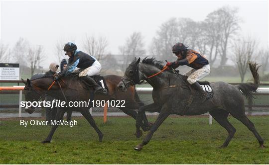 Horse Racing from Down Royal Horse Racing from Down Royal