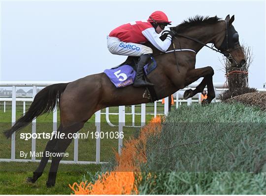 Horse Racing from Wexford