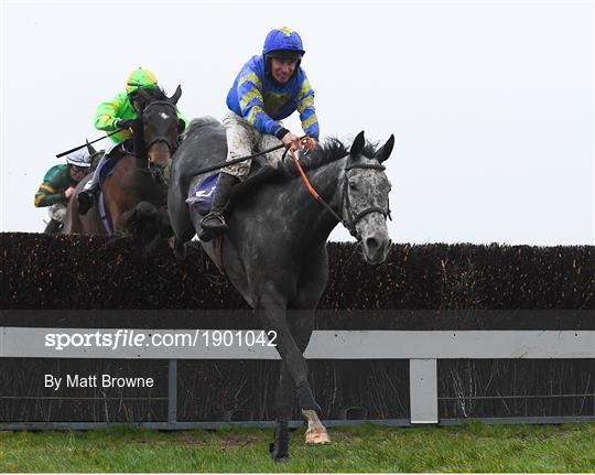 Horse Racing from Wexford