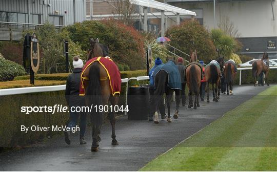 Horse Racing from Down Royal Horse Racing from Down Royal
