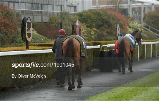 Horse Racing from Down Royal Horse Racing from Down Royal