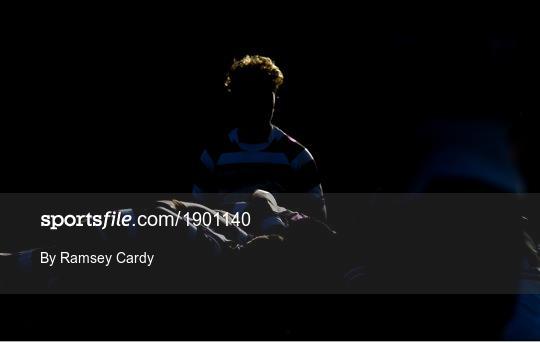 Terenure College v Newbridge College - Bank of Ireland Leinster Schools Junior Cup Semi-Final