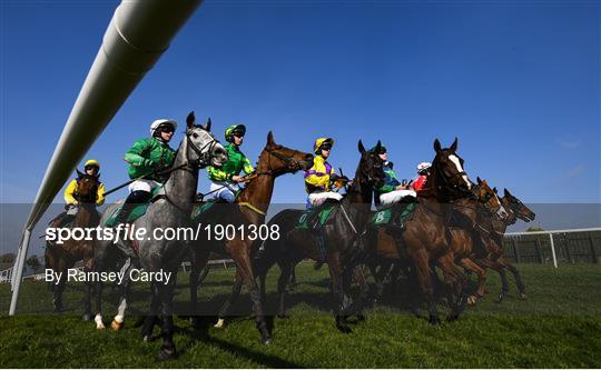 Horse Racing from Downpatrick