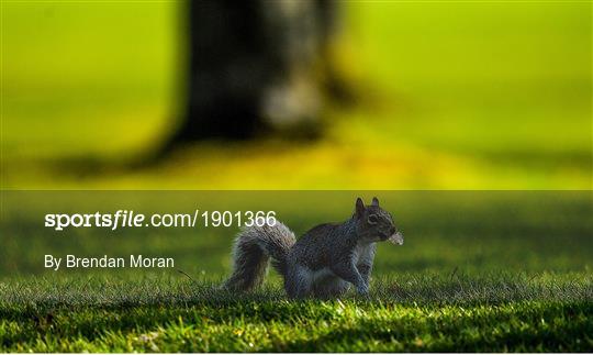 Members of Craddockstown Golf Club enjoy golf while adhering to the guidelines of social distancing