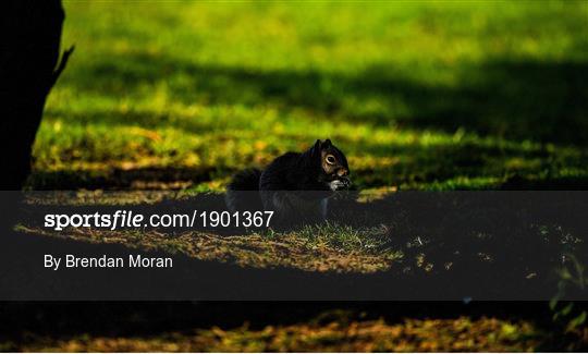 Members of Craddockstown Golf Club enjoy golf while adhering to the guidelines of social distancing Members of Craddockstown Golf Club enjoy golf while adhering to the guidelines of social distancing