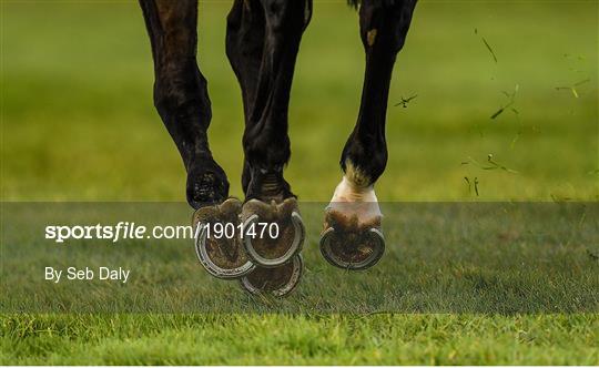 Horse Racing from Naas