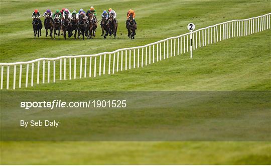 Horse Racing from Naas