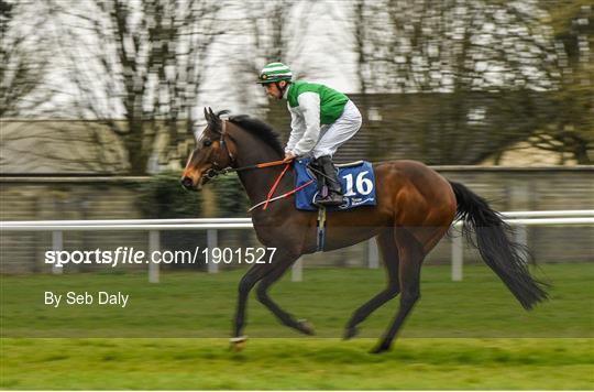 Horse Racing from Naas