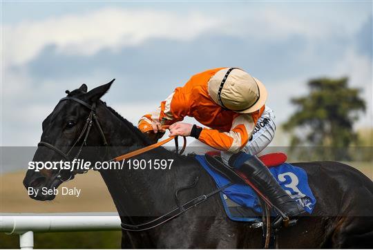 Horse Racing from Clonmel