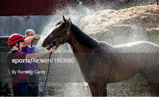 Trainer Willie McCreery prepares for the resumption of Horse Racing in Ireland