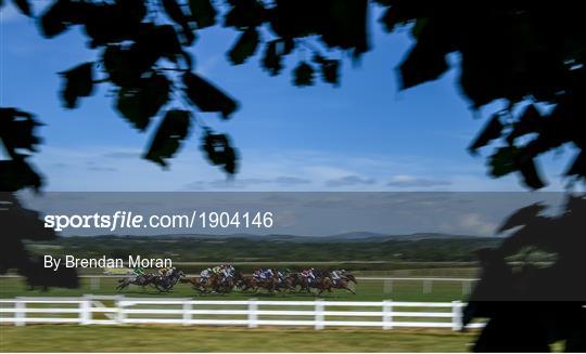 Horse Racing from Naas