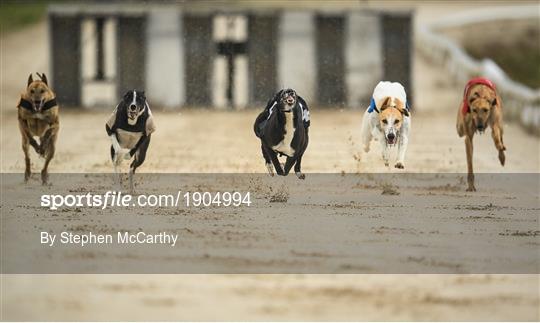Greyhound Racing from Enniscorthy