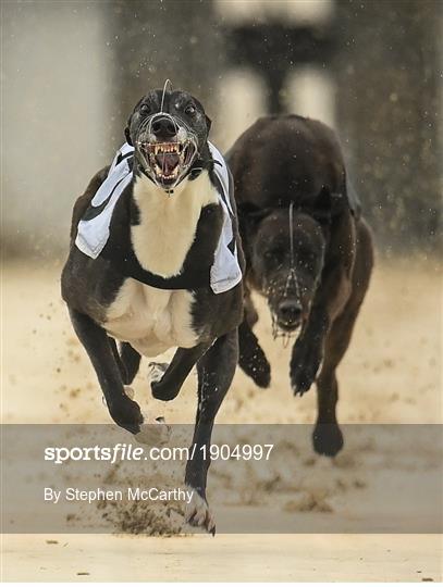Greyhound Racing from Enniscorthy