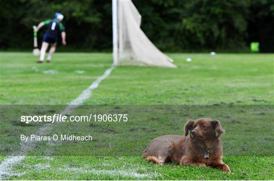 St Sylvester's v St Patrick's Donabate - Junior B Hurling Challenge game St Sylvester's v St Patrick's Donabate - Junior B Hurling Challenge game