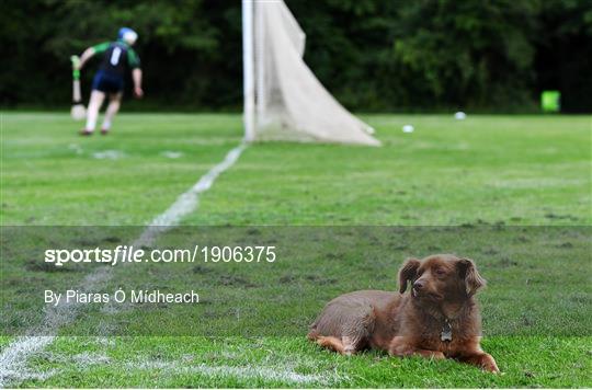 St Sylvester's v St Patrick's Donabate - Junior B Hurling Challenge game