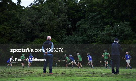 St Sylvester's v St Patrick's Donabate - Junior B Hurling Challenge game St Sylvester's v St Patrick's Donabate - Junior B Hurling Challenge game