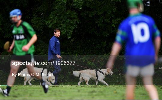 St Sylvester's v St Patrick's Donabate - Junior B Hurling Challenge game