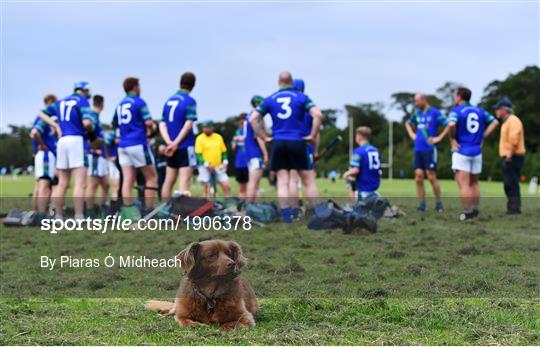 St Sylvester's v St Patrick's Donabate - Junior B Hurling Challenge game