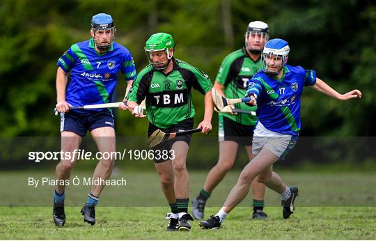 St Sylvester's v St Patrick's Donabate - Junior B Hurling Challenge game