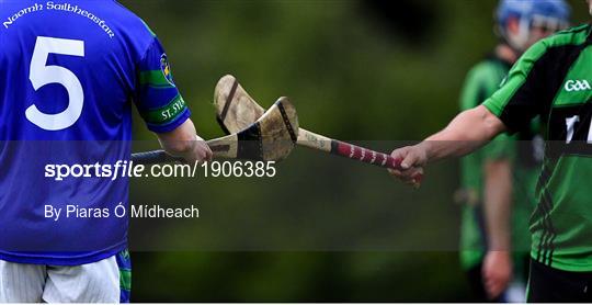 St Sylvester's v St Patrick's Donabate - Junior B Hurling Challenge game