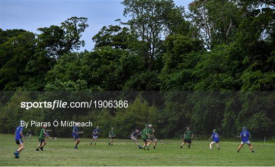 St Sylvester's v St Patrick's Donabate - Junior B Hurling Challenge game St Sylvester's v St Patrick's Donabate - Junior B Hurling Challenge game