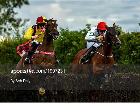Horse Racing from Kilbeggan