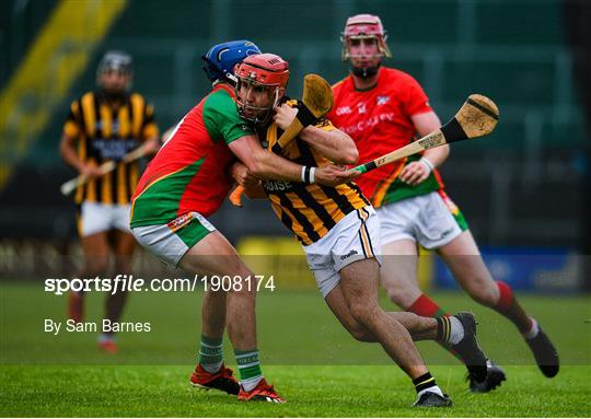 Rapparees-Starlights v Shelmaliers - Wexford County Senior Hurling Championship Group D Round 1