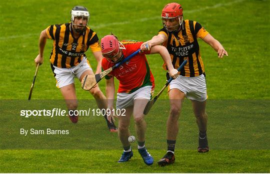 Rapparees-Starlights v Shelmaliers - Wexford County Senior Hurling Championship Group D Round 1