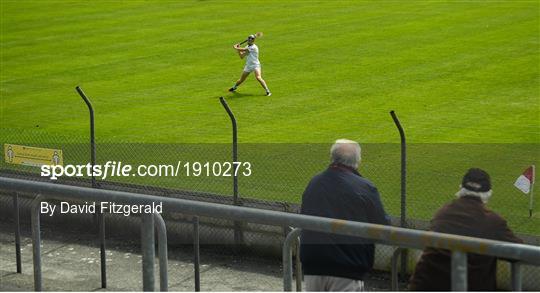 Sarsfields v Portumna - Galway County Senior Club Hurling Championship Group 3 Round 1