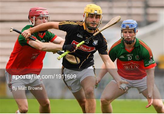 James Stephens v Danesfort - Kilkenny County Senior Hurling League Group A