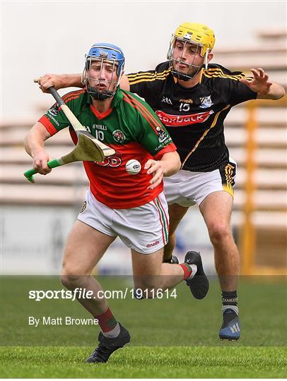 James Stephens v Danesfort - Kilkenny County Senior Hurling League Group A James Stephens v Danesfort - Kilkenny County Senior Hurling League Group A
