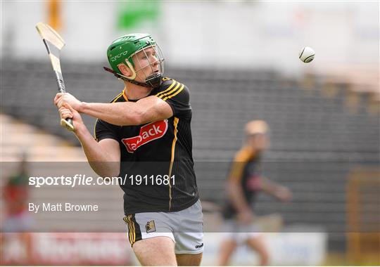 James Stephens v Danesfort - Kilkenny County Senior Hurling League Group A James Stephens v Danesfort - Kilkenny County Senior Hurling League Group A
