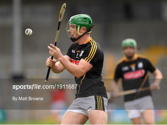 James Stephens v Danesfort - Kilkenny County Senior Hurling League Group A