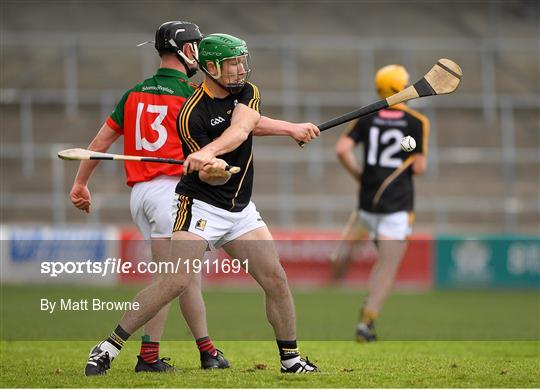 James Stephens v Danesfort - Kilkenny County Senior Hurling League Group A