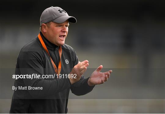 James Stephens v Danesfort - Kilkenny County Senior Hurling League Group A