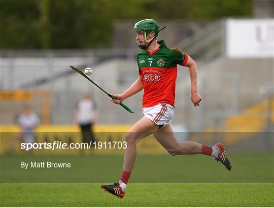 James Stephens v Danesfort - Kilkenny County Senior Hurling League Group A