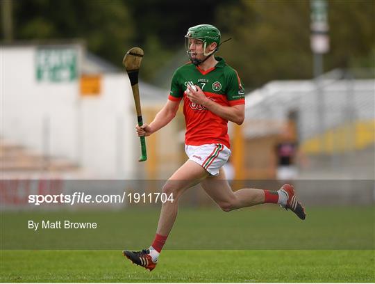 James Stephens v Danesfort - Kilkenny County Senior Hurling League Group A