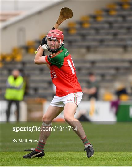 James Stephens v Danesfort - Kilkenny County Senior Hurling League Group A James Stephens v Danesfort - Kilkenny County Senior Hurling League Group A