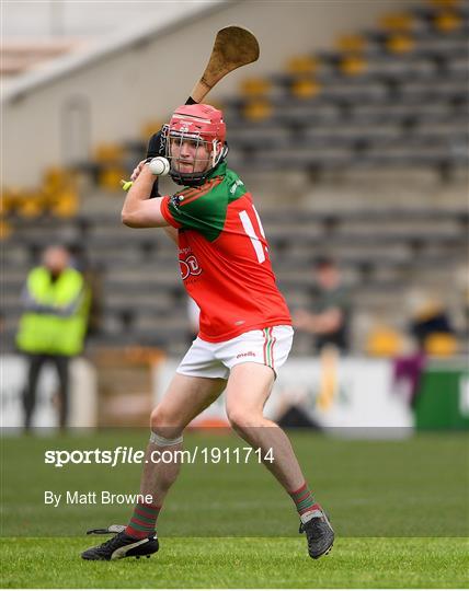 James Stephens v Danesfort - Kilkenny County Senior Hurling League Group A